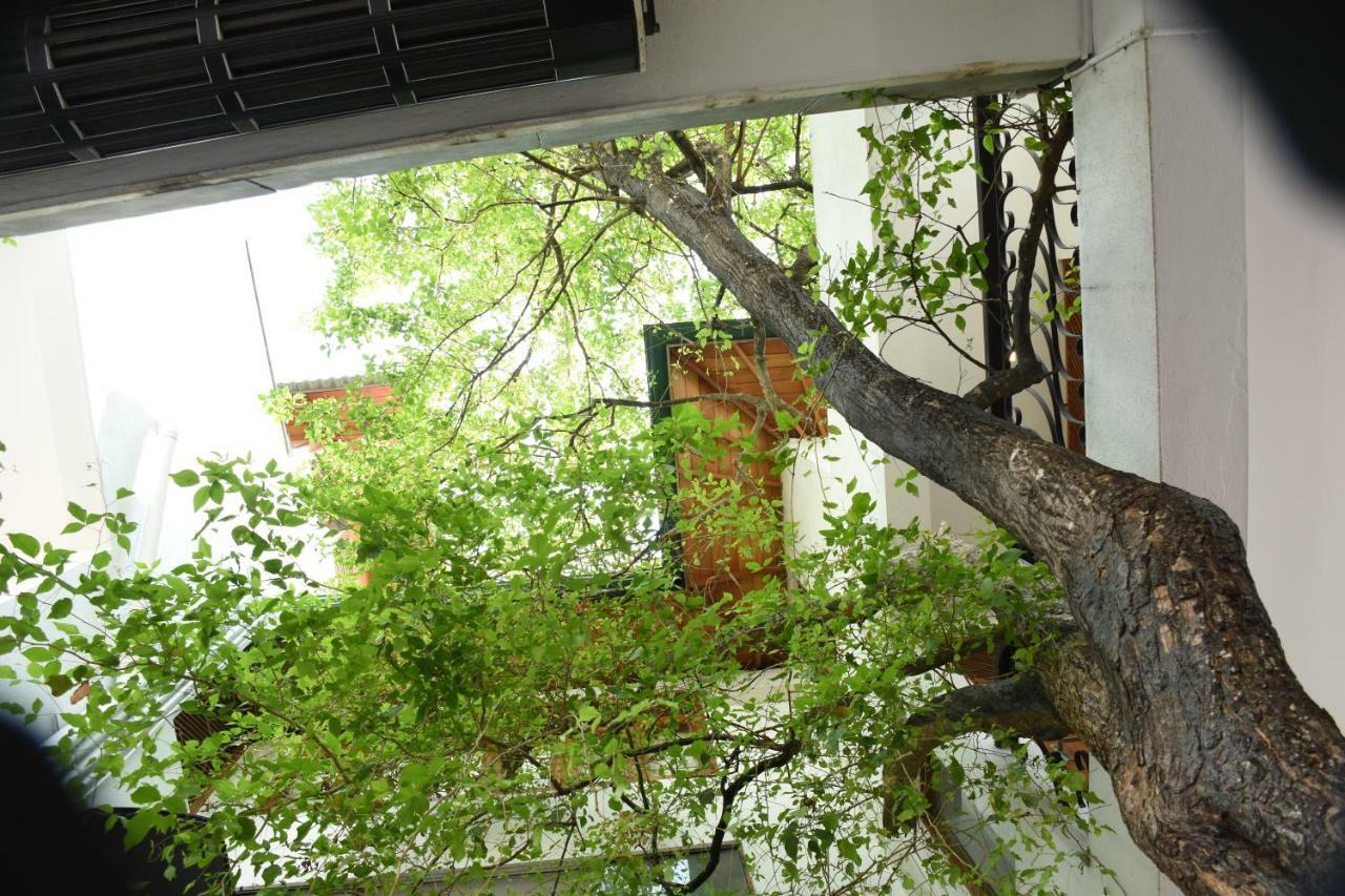 Colombo Tree House Hotell Nugegoda Eksteriør bilde